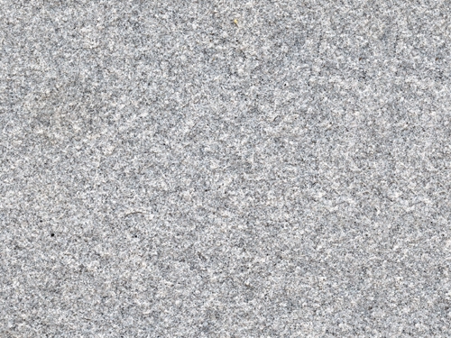 Gray Sesame flamed